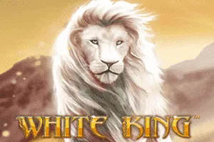 White King - POWERPLAY128
