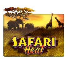 Safari Heat - POWERPLAY128