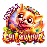 CHILIHUAHUA - POWERPLAY128