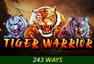 Spadegaming : Tiger Warrior - POWERPLAY128