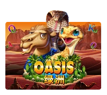 Oasis - POWERPLAY128